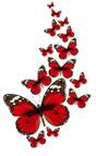 Image result for red butterfly